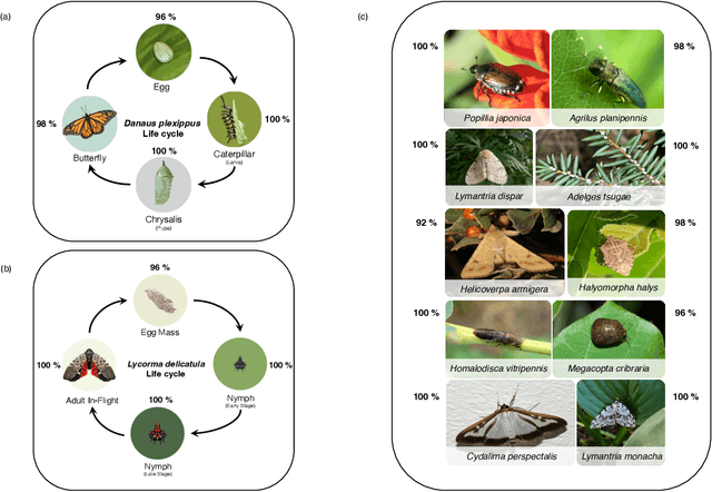 Figure 3 for Deep learning powered real-time identification of insects using citizen science data