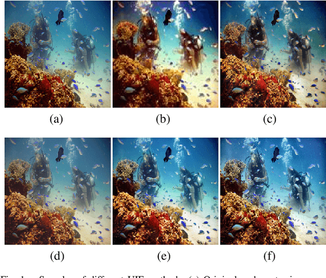 Figure 1 for PUGAN: Physical Model-Guided Underwater Image Enhancement Using GAN with Dual-Discriminators