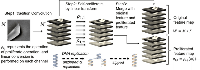 Figure 3 for Semiconductor Defect Pattern Classification by Self-Proliferation-and-Attention Neural Network
