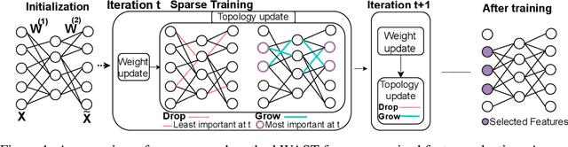 Figure 1 for Where to Pay Attention in Sparse Training for Feature Selection?