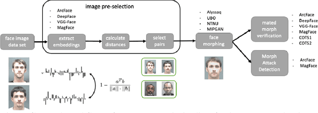 Figure 2 for Towards minimizing efforts for Morphing Attacks -- Deep embeddings for morphing pair selection and improved Morphing Attack Detection
