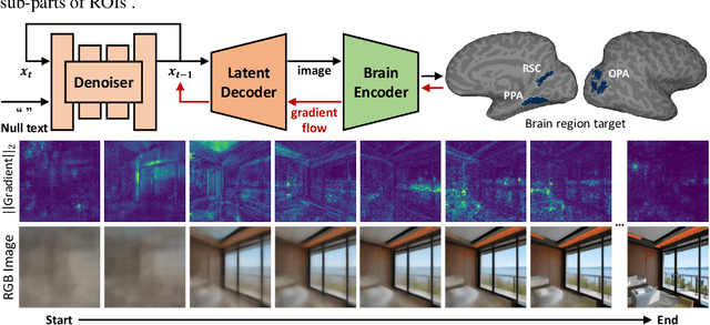 Figure 3 for Brain Diffusion for Visual Exploration: Cortical Discovery using Large Scale Generative Models