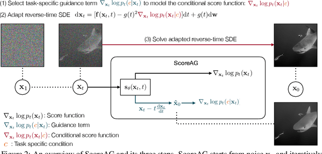 Figure 2 for Assessing Robustness via Score-Based Adversarial Image Generation