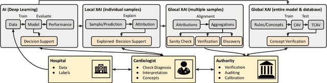 Figure 1 for Explaining Deep Learning for ECG Analysis: Building Blocks for Auditing and Knowledge Discovery