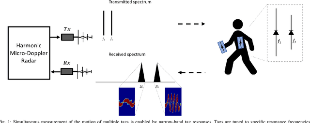 Figure 1 for Motion Classification Based on Harmonic Micro-Doppler Signatures Using a Convolutional Neural Network