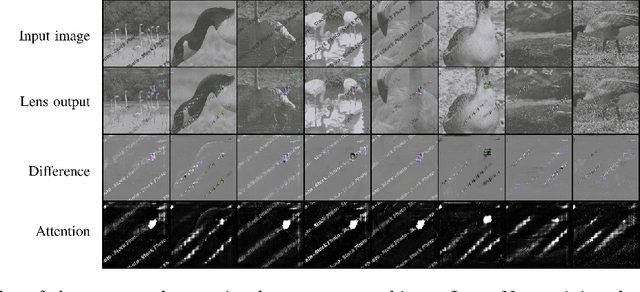 Figure 3 for Shortcut Removal for Improved OOD-Generalization