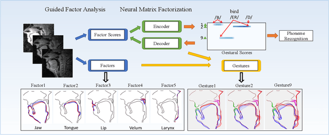 Figure 1 for Articulatory Representation Learning Via Joint Factor Analysis and Neural Matrix Factorization