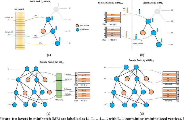 Figure 1 for DistGNN-MB: Distributed Large-Scale Graph Neural Network Training on x86 via Minibatch Sampling
