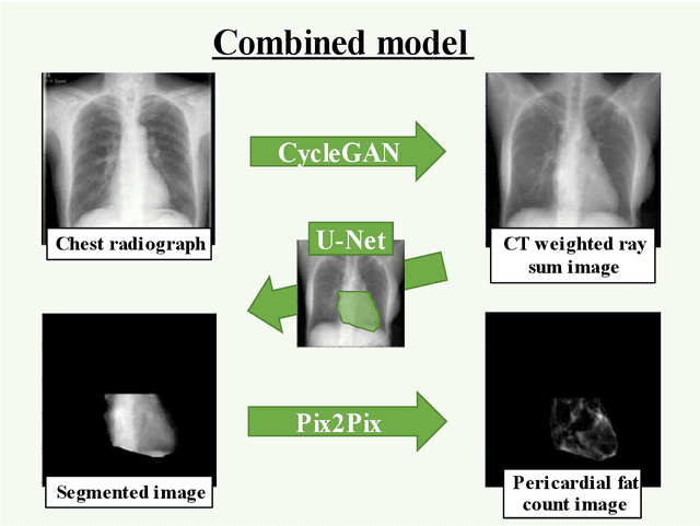 Figure 3 for Development of pericardial fat count images using a combination of three different deep-learning models