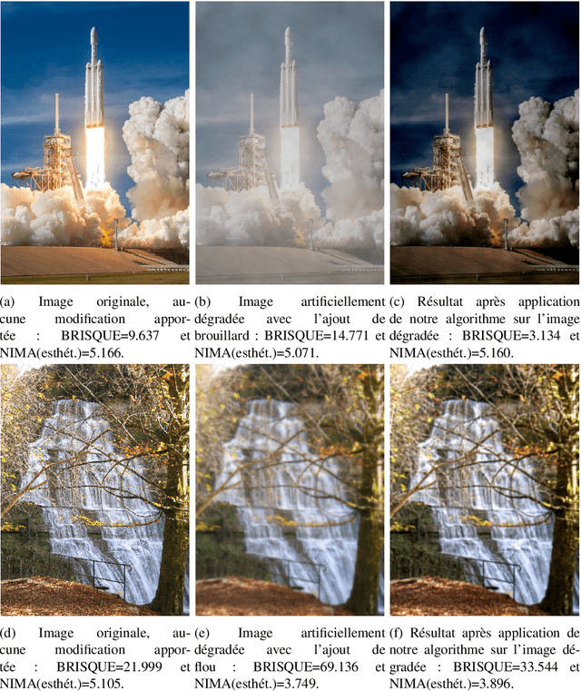 Figure 1 for Amélioration de la qualité d'images avec un algorithme d'optimisation inspirée par la nature