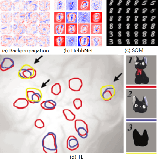 Figure 1 for Extracting the Brain-like Representation by an Improved Self-Organizing Map for Image Classification