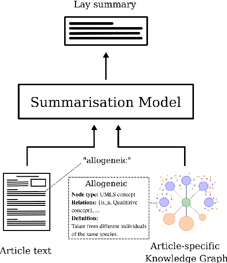 Figure 1 for Enhancing Biomedical Lay Summarisation with External Knowledge Graphs