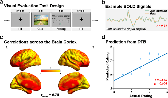 Figure 3 for Digital Twin Brain: a simulation and assimilation platform for whole human brain