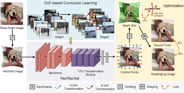 Figure 2 for RecRecNet: Rectangling Rectified Wide-Angle Images by Thin-Plate Spline Model and DoF-based Curriculum Learning