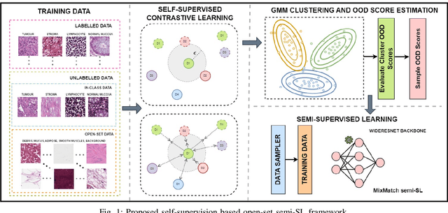 Figure 1 for Robust Semi-Supervised Learning for Histopathology Images through Self-Supervision Guided Out-of-Distribution Scoring
