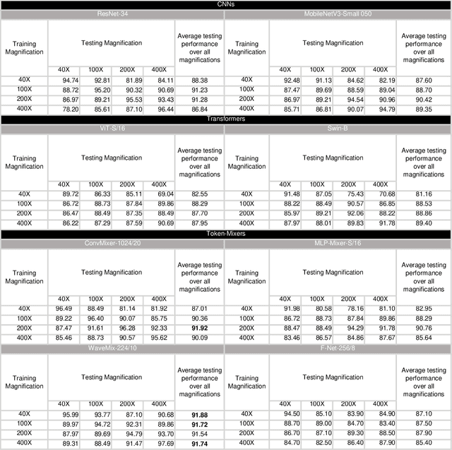 Figure 2 for Magnification Invariant Medical Image Analysis: A Comparison of Convolutional Networks, Vision Transformers, and Token Mixers