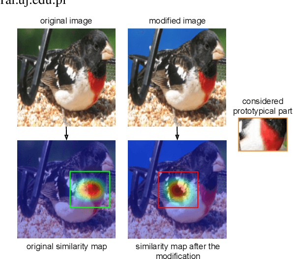 Figure 1 for Interpretability Benchmark for Evaluating Spatial Misalignment of Prototypical Parts Explanations