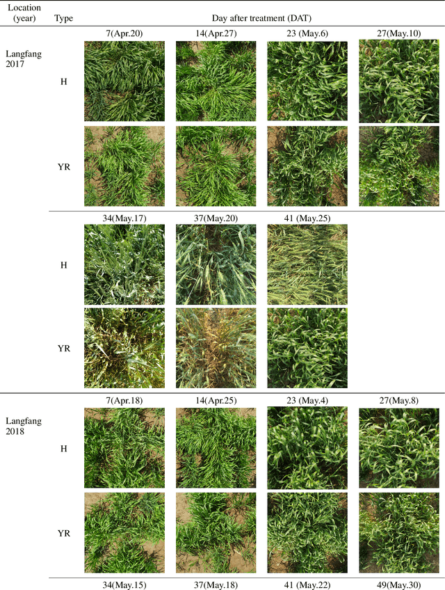 Figure 2 for A Fast Fourier Convolutional Deep Neural Network For Accurate and Explainable Discrimination Of Wheat Yellow Rust And Nitrogen Deficiency From Sentinel-2 Time-Series Data