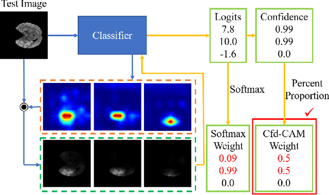 Figure 3 for A Novel Confidence Induced Class Activation Mapping for MRI Brain Tumor Segmentation