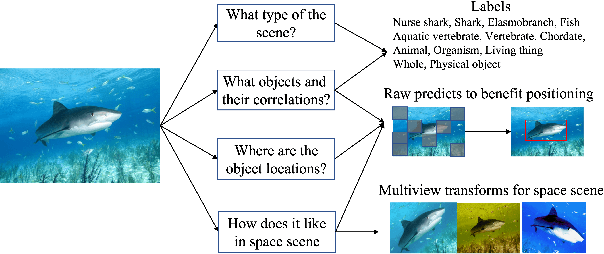 Figure 1 for Heuristic Vision Pre-Training with Self-Supervised and Supervised Multi-Task Learning