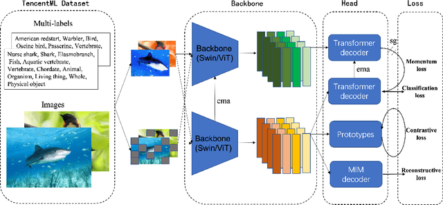 Figure 3 for Heuristic Vision Pre-Training with Self-Supervised and Supervised Multi-Task Learning