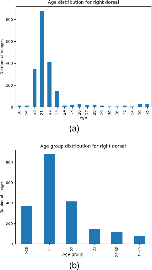 Figure 2 for Joint Person Identity, Gender and Age Estimation from Hand Images using Deep Multi-Task Representation Learning