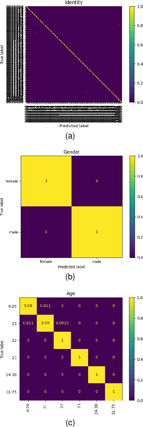 Figure 3 for Joint Person Identity, Gender and Age Estimation from Hand Images using Deep Multi-Task Representation Learning