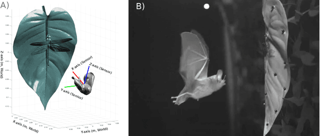 Figure 1 for SonoTraceLab -- A Raytracing-Based Acoustic Modelling System for Simulating Echolocation Behavior of Bats