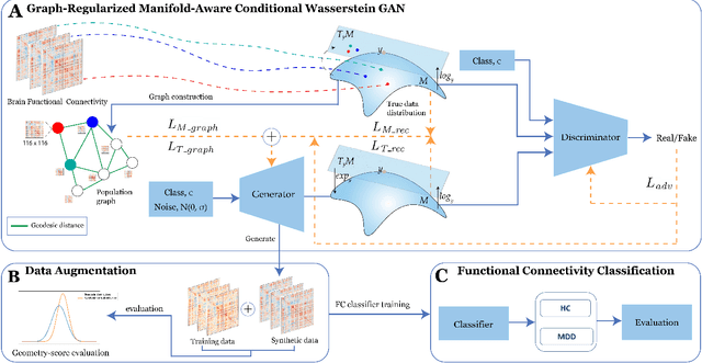 Figure 2 for Graph-Regularized Manifold-Aware Conditional Wasserstein GAN for Brain Functional Connectivity Generation