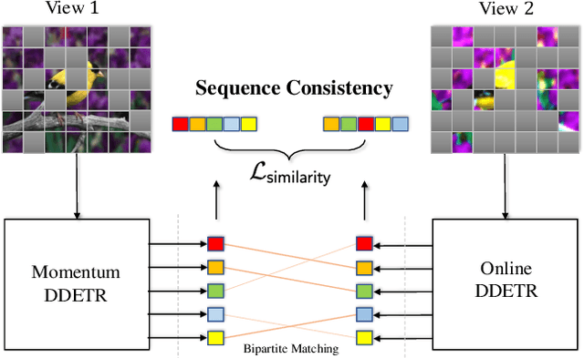 Figure 1 for SeqCo-DETR: Sequence Consistency Training for Self-Supervised Object Detection with Transformers