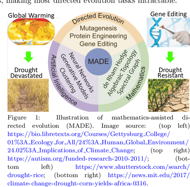 Figure 1 for Mathematics-assisted directed evolution and protein engineering