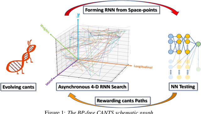 Figure 1 for Backpropagation-Free 4D Continuous Ant-Based Neural Topology Search