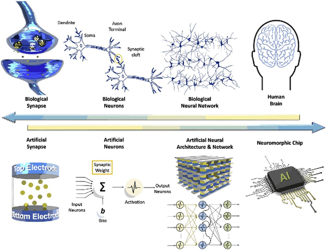 Figure 2 for Mem-elements based Neuromorphic Hardware for Neural Network Application