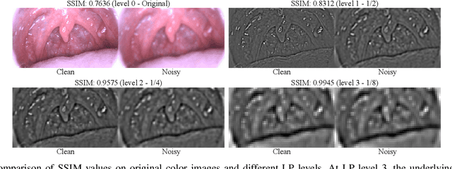 Figure 2 for A Practical Framework for Unsupervised Structure Preservation Medical Image Enhancement