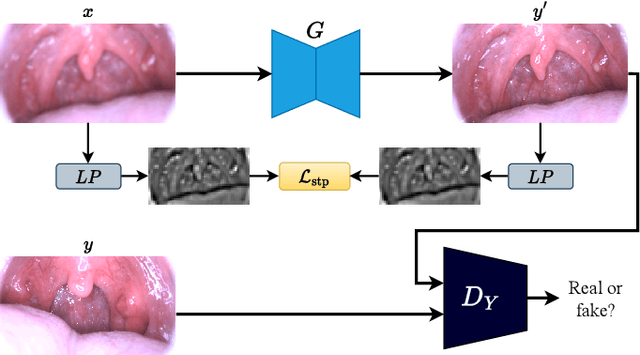Figure 3 for A Practical Framework for Unsupervised Structure Preservation Medical Image Enhancement