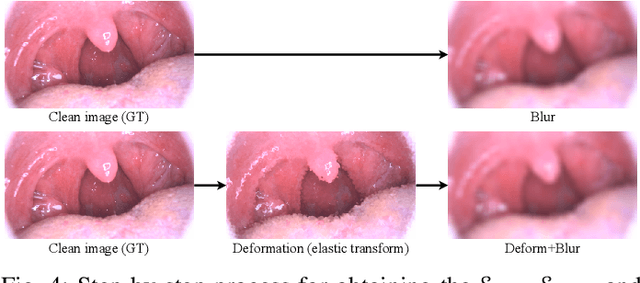 Figure 4 for A Practical Framework for Unsupervised Structure Preservation Medical Image Enhancement