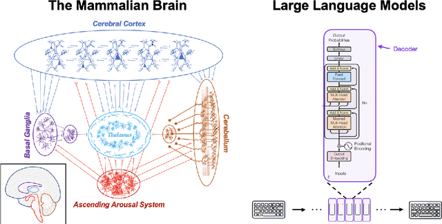 Figure 1 for The feasibility of artificial consciousness through the lens of neuroscience