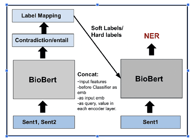 Figure 1 for Injecting Categorical Labels and Syntactic Information into Biomedical NER