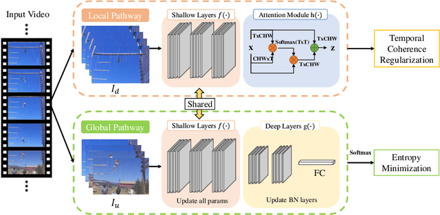 Figure 1 for Temporal Coherent Test-Time Optimization for Robust Video Classification