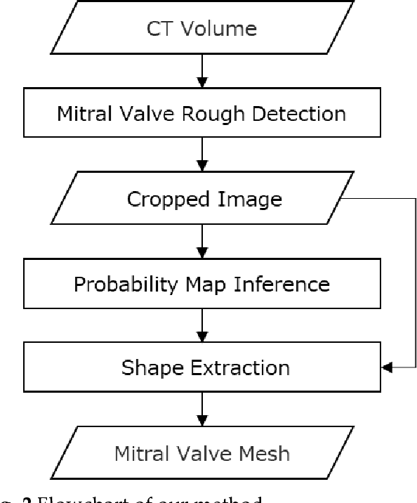 Figure 2 for Fully automatic mitral valve 4D shape extraction using probability maps