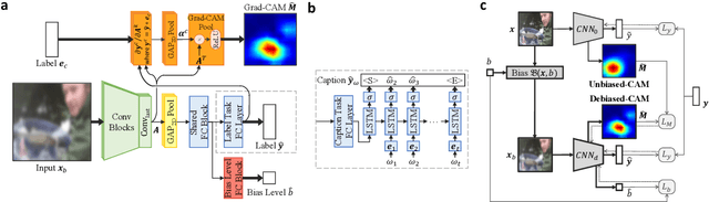 Figure 2 for Debiased-CAM to mitigate systematic error with faithful visual explanations of machine learning