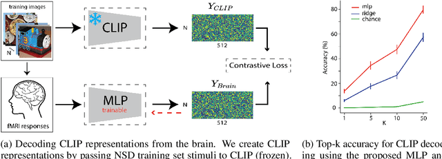 Figure 1 for Identifying Shared Decodable Concepts in the Human Brain Using Image-Language Foundation Models