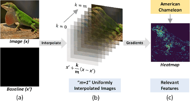 Figure 1 for Non-Uniform Interpolation in Integrated Gradients for Low-Latency Explainable-AI
