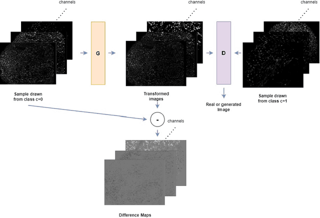 Figure 1 for Studying Therapy Effects and Disease Outcomes in Silico using Artificial Counterfactual Tissue Samples