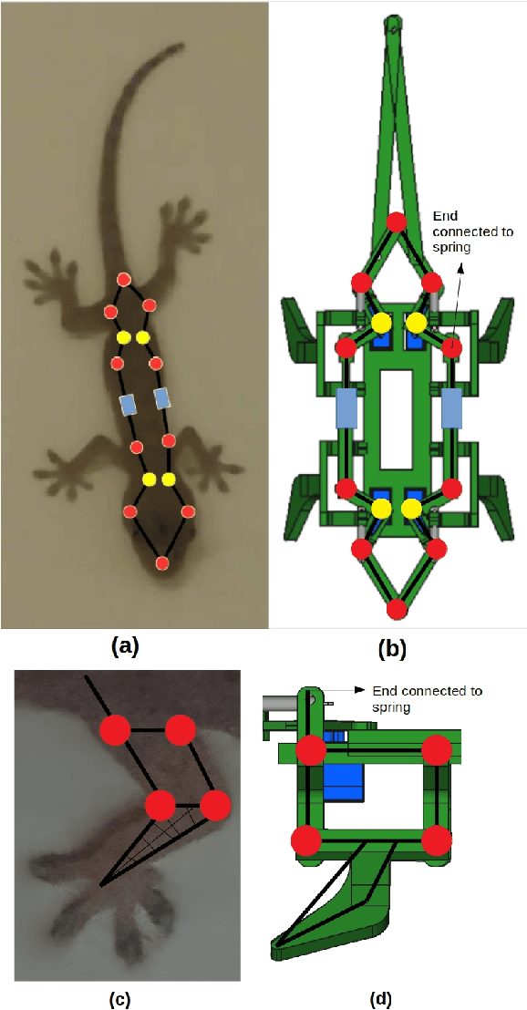 Figure 1 for Optimal Kinematic Design of a Robotic Lizard using Four-Bar and Five-Bar Mechanisms