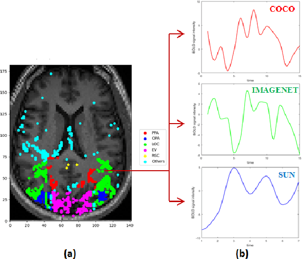 Figure 3 for Spatial encoding of BOLD fMRI time series for categorizing static images across visual datasets: A pilot study on human vision