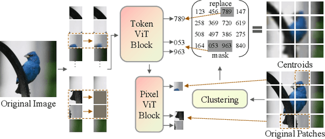 Figure 1 for Centroid-centered Modeling for Efficient Vision Transformer Pre-training