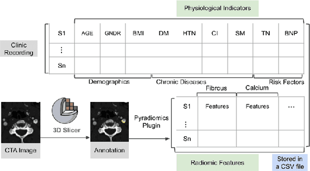 Figure 1 for An Integrated Visual Analytics System for Studying Clinical Carotid Artery Plaques