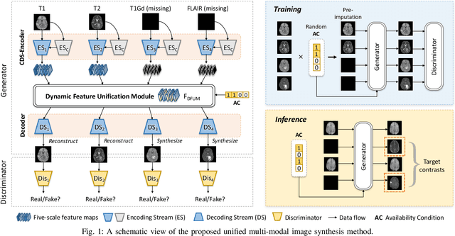 Figure 1 for Unified Multi-Modal Image Synthesis for Missing Modality Imputation