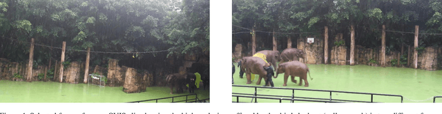 Figure 1 for RefineVIS: Video Instance Segmentation with Temporal Attention Refinement